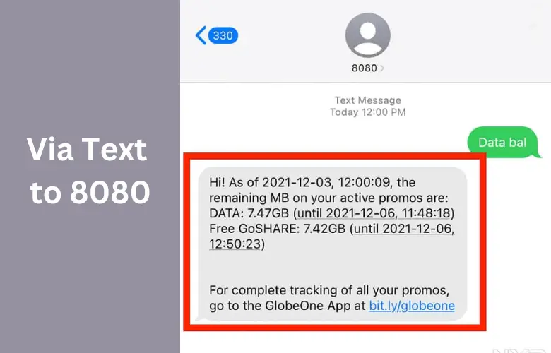 How to Check Load Balance in Globe via Text to 8080 